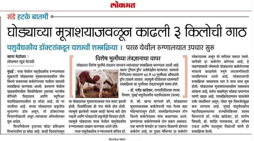 Horse Surgery News